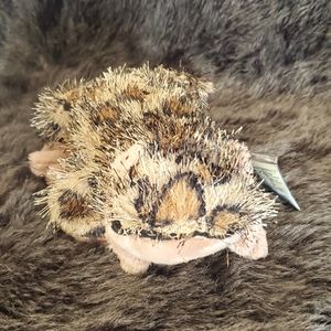 GANZ WEBKINZ RETIRED VINTAGE ADOPT A PET LEOPARD LIZARD